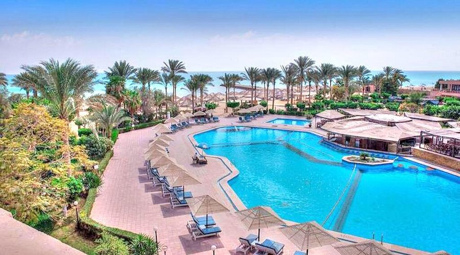 داي يوز في بالميرا العين السخنة